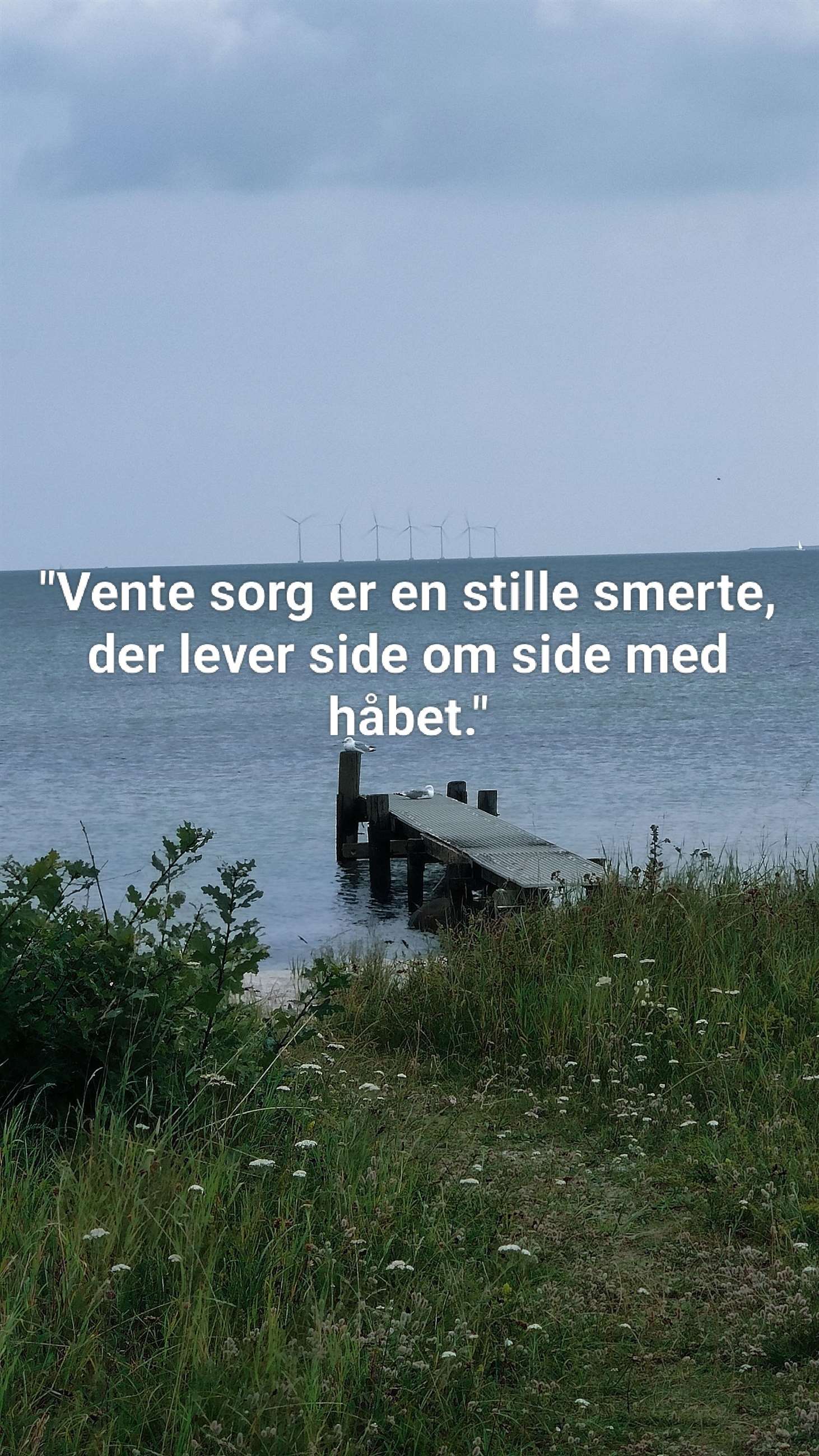 vente sorg – når tabet begynder før døden